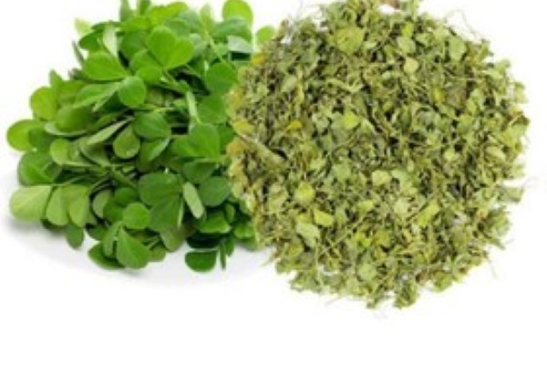 تصویر 2 از خرید و قیمت  شنبلیله خشک عمده + فروش صادراتی